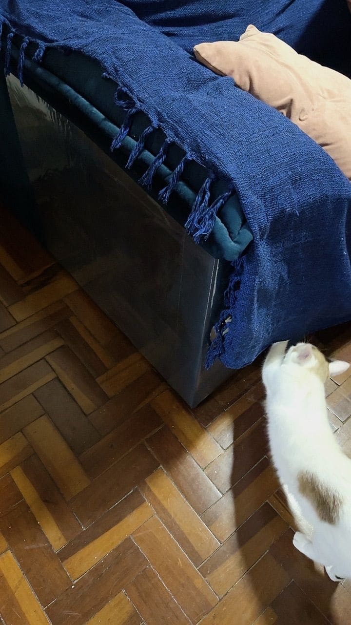 Imagem 1 da avaliação de Emanuelly Braga