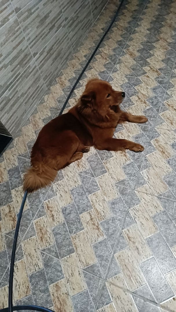 Imagem 2 da avaliação de Márcia Barros