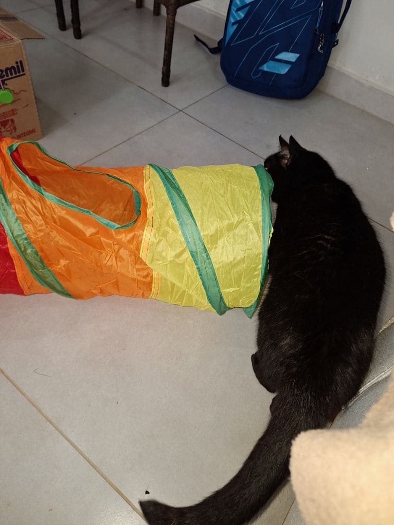 Imagem 1 da avaliação de Célia Santos