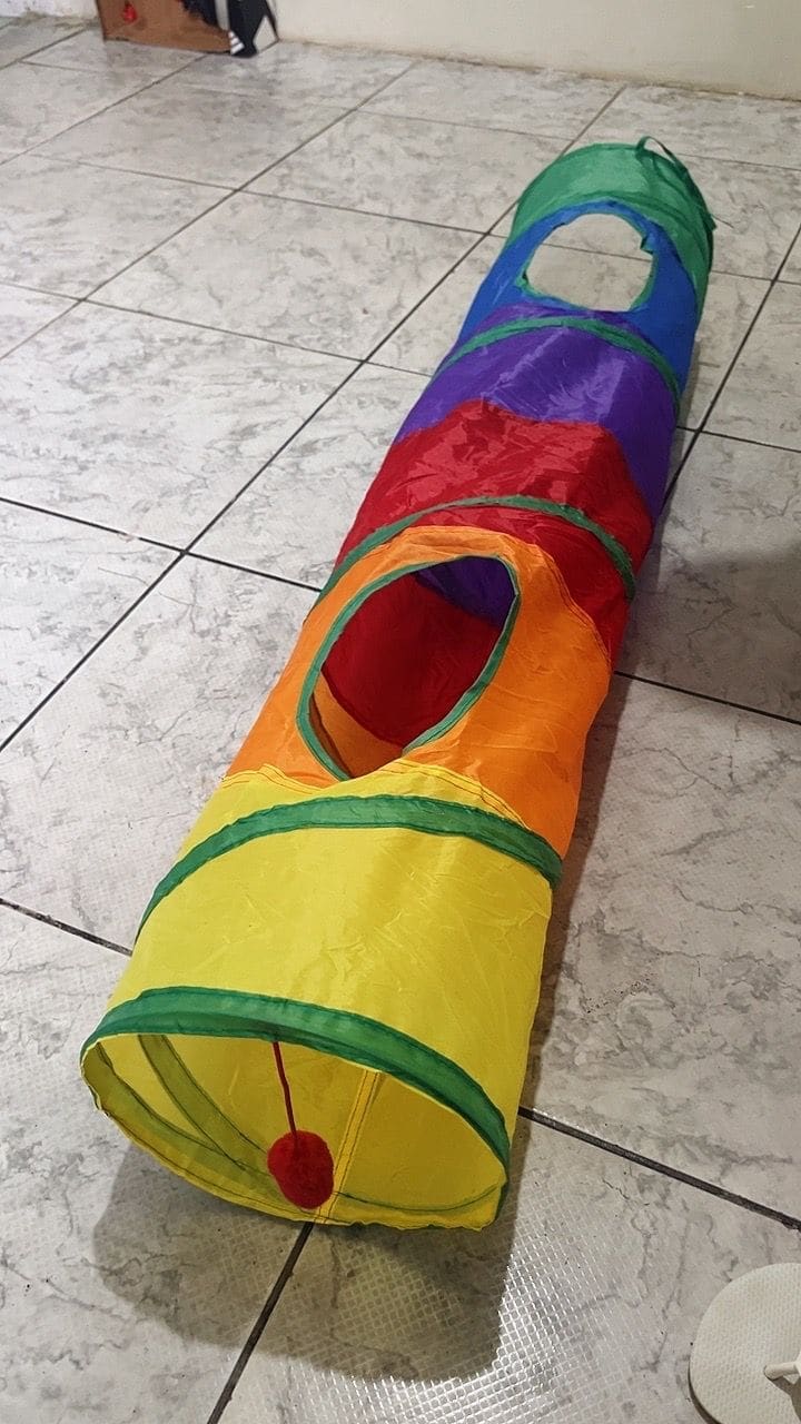 Imagem 2 da avaliação de Ana Luiza Albuquerque