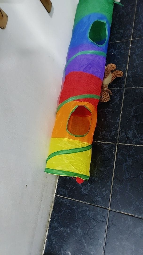 Imagem 2 da avaliação de Enzo Gabriel Xavier